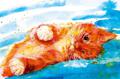 Открытка "Кот" А5