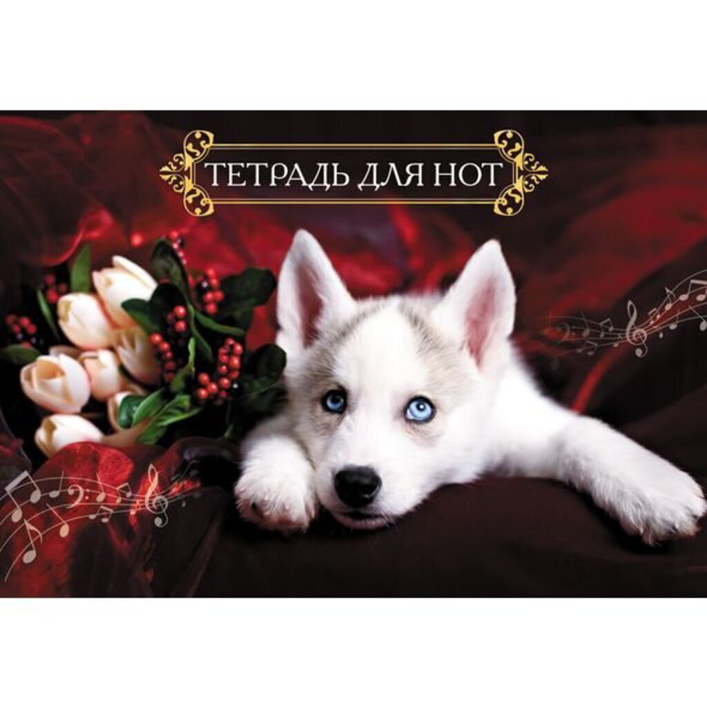 Тетрадь для нот А4,  8л. "Белый щенок", горизонтальная