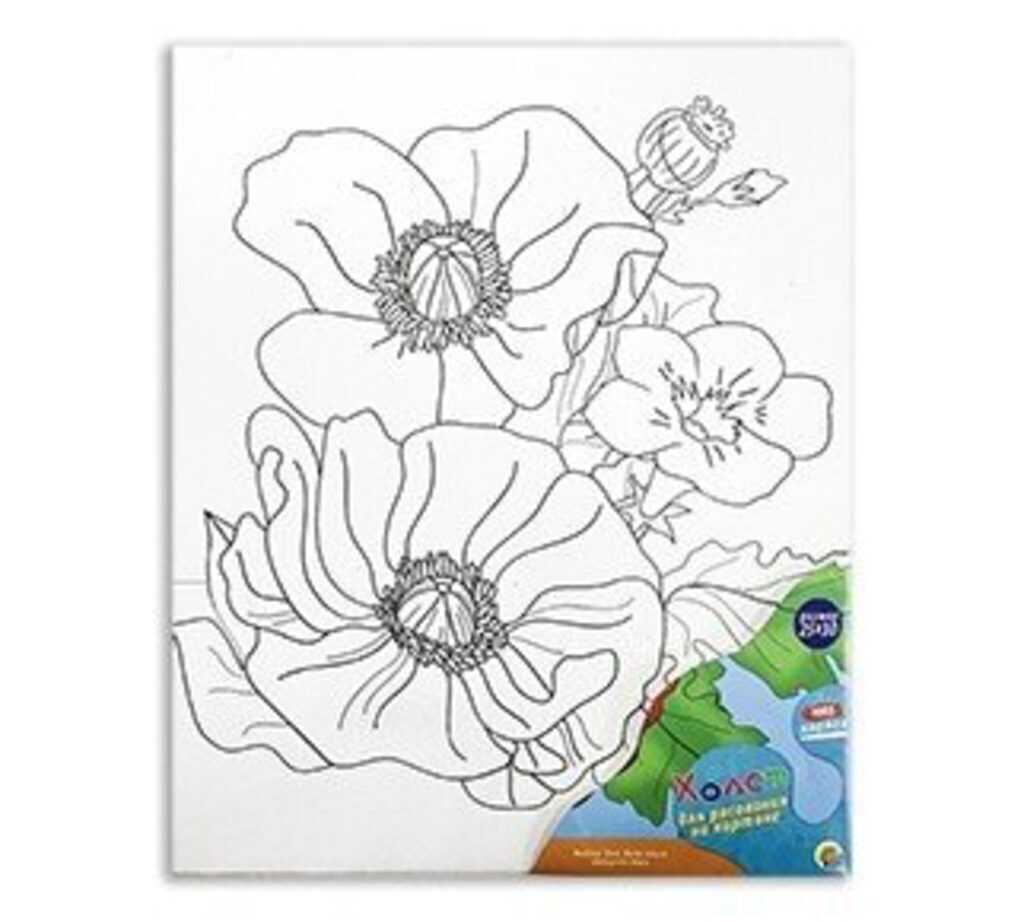 Холст на картоне с контуром 25*30см "Красные маки"