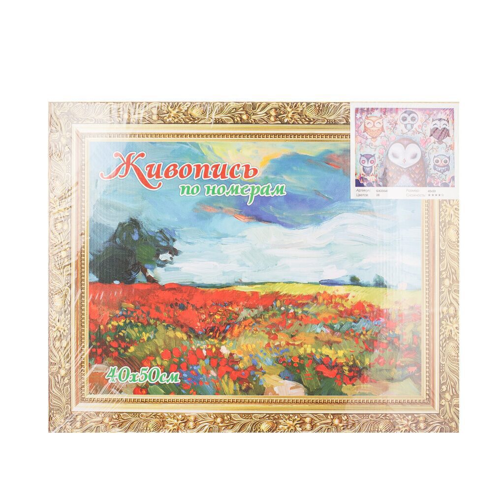 Живопись по номерам с акрилом 40*50см "Совушки" 1 вид