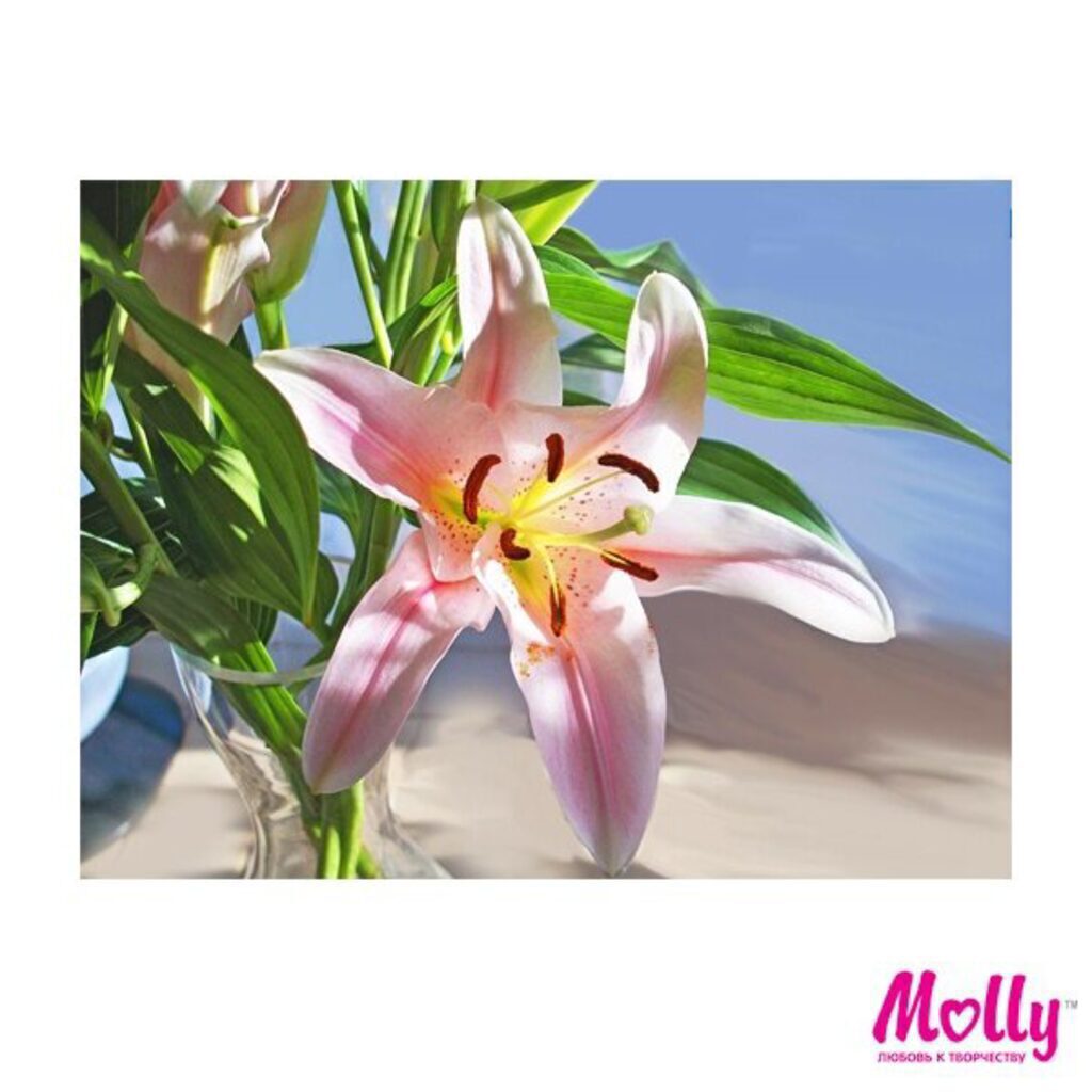 Мозаика алмазная по номерам 15*20см "Лилия" Частичная выкладка
