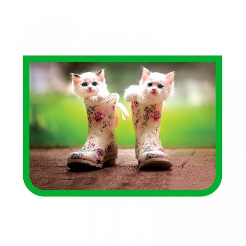 Папка для труда А4 2 отд. молн. сверху.  Котята в сапогах