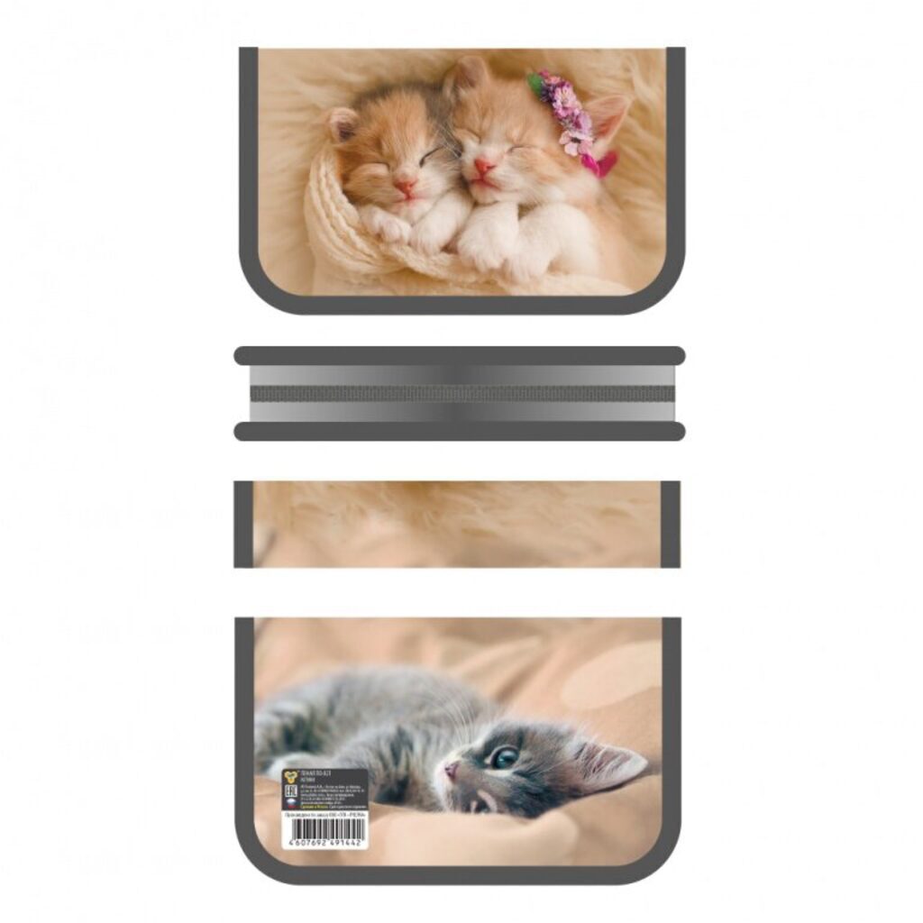 Пенал 1 отд. (190*115)    Котики, soft