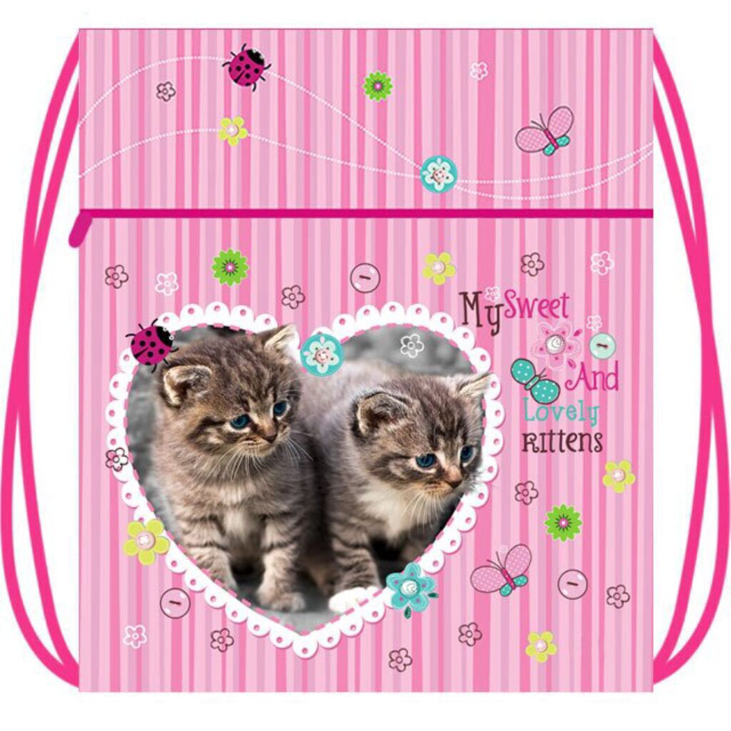 Мешок для обуви 1 отд, карман на молнии, сеточка 410*490 Lovely kittens