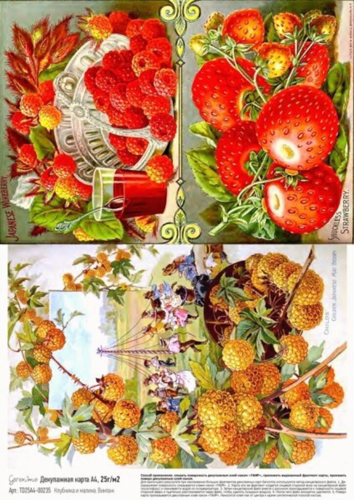 Декупажная карта "Клубника и малина. Винтаж" А4, 25м/г