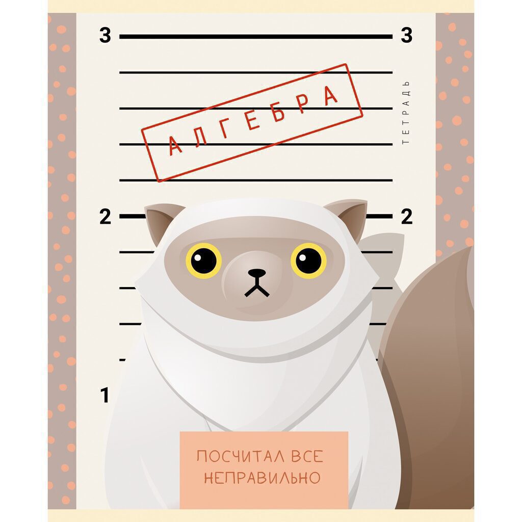 Тетрадь предметная А5 Алгебра, "Пушистые хулиганы" 48л, кл.