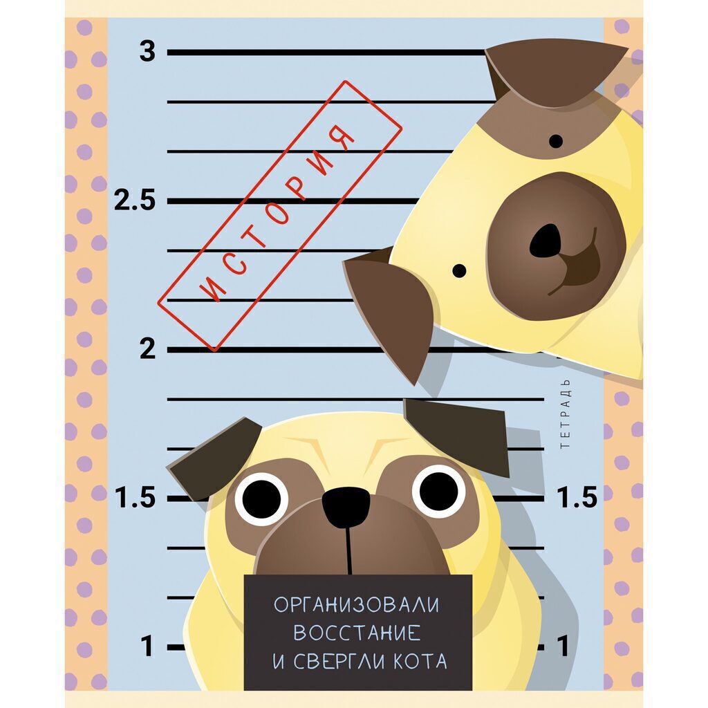 Тетрадь предметная А5 История, "Пушистые хулиганы" 48л, кл.