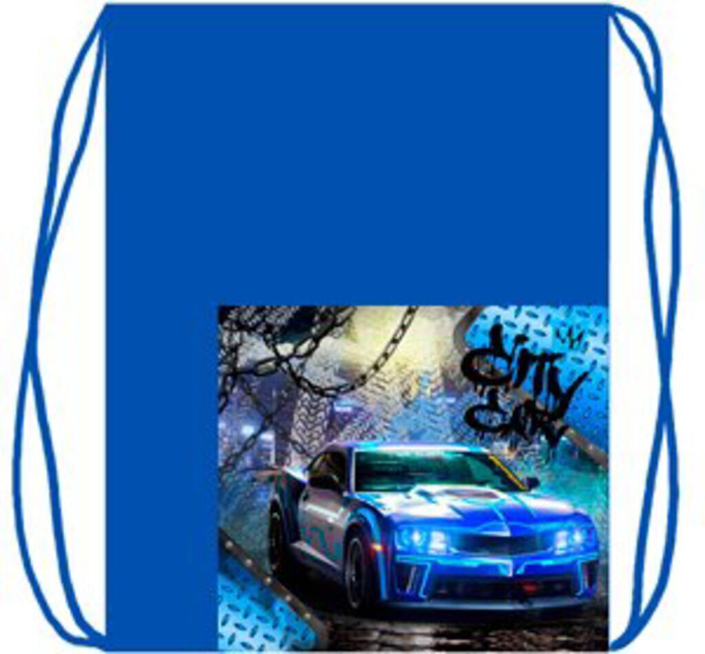 Мешок для обуви 2 отд, карман на молнии 330*420 City car