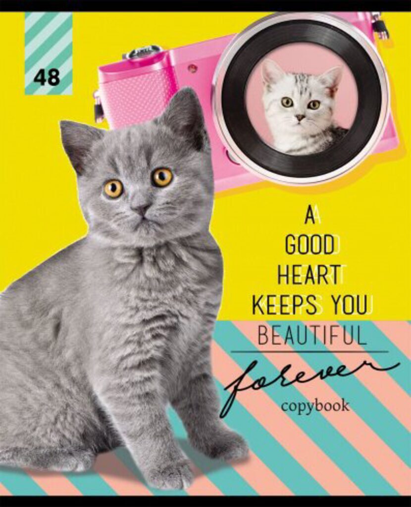 Тетрадь А5 48л кл. "Кошки и фотоаппарат", тиснение лен