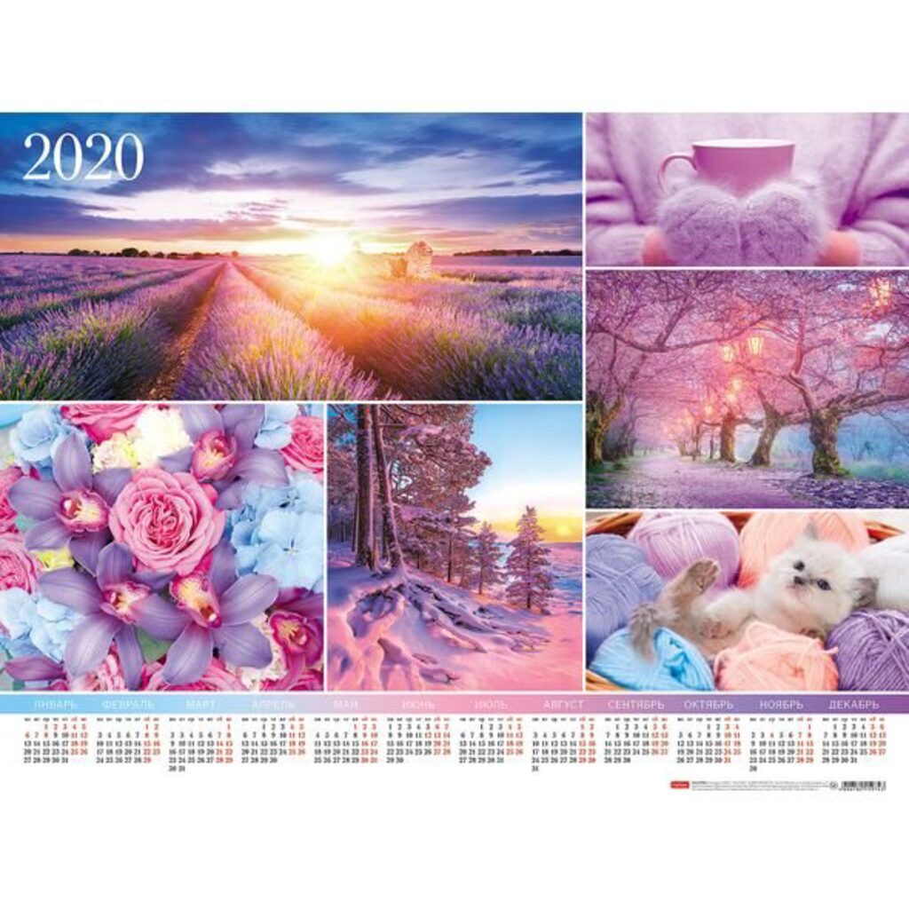Календарь ЛИСТОВОЙ 450*600мм, А2 MULTICOLOR, на 2020 год
