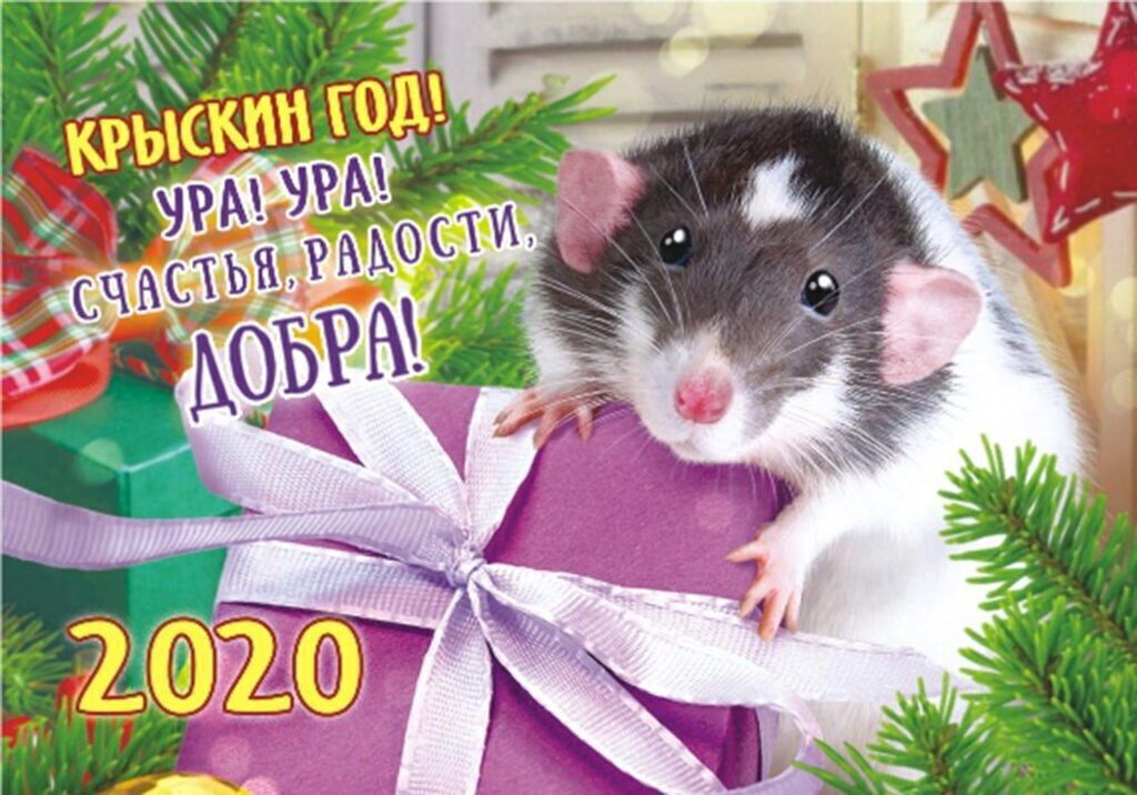 Календарь карманный на 2020 год СИМВОЛ ГОДА. Коллаж, упак. 50 шт. - 10 видов (ЦЕНА за 1 шт.)