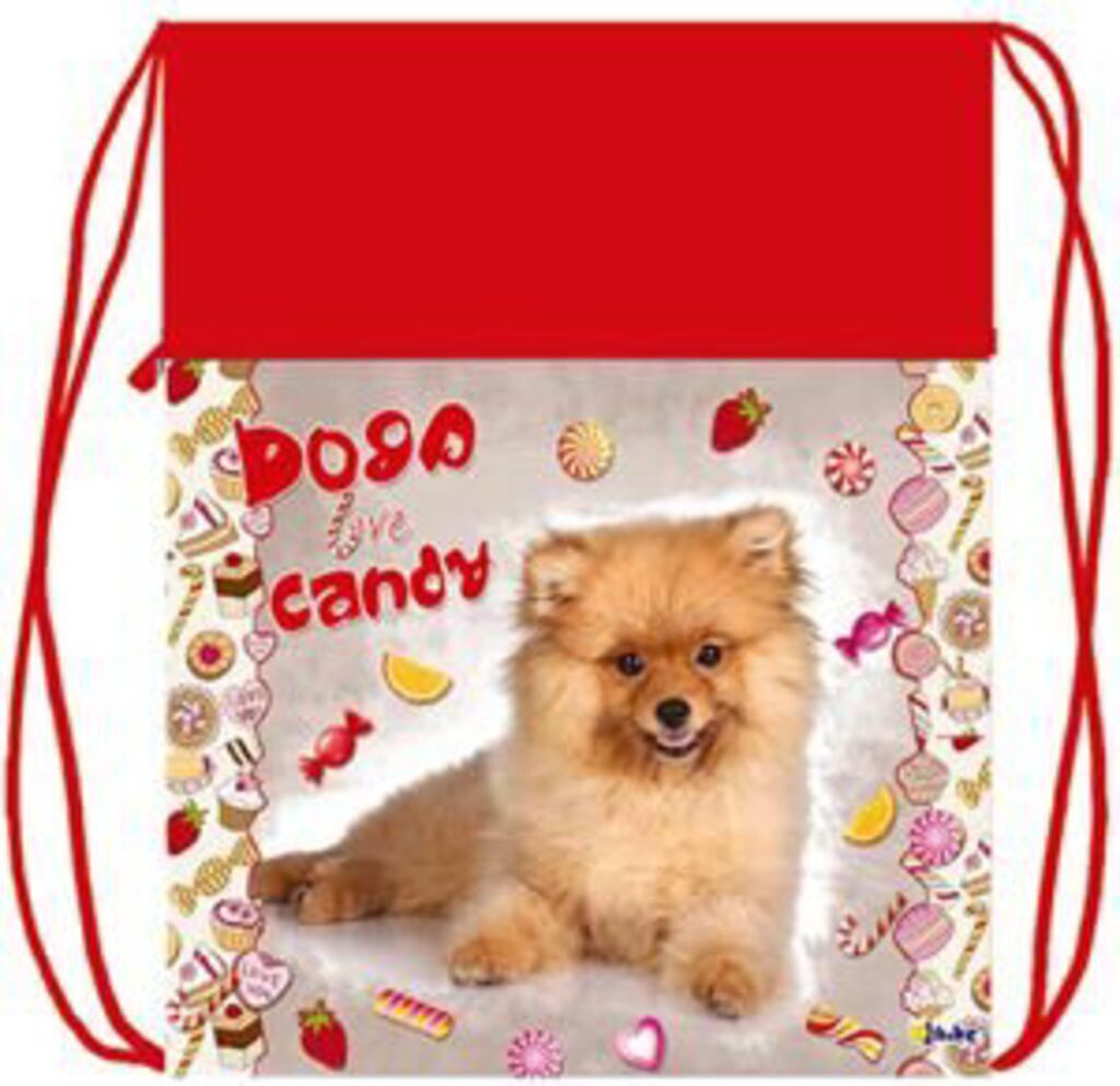 Мешок для обуви 1 отд, карман на молнии,  370*470 Candy dog, с сеточкой