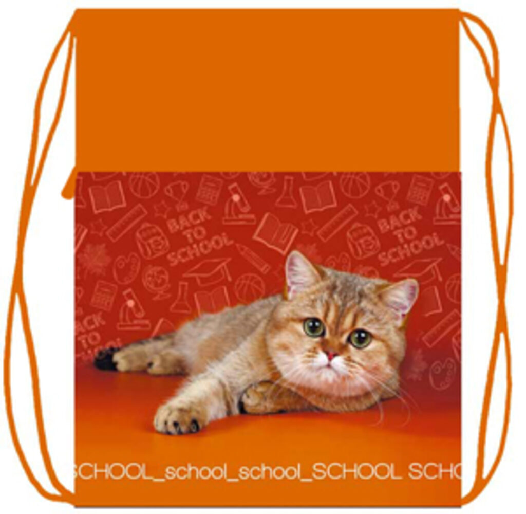 Мешок для обуви 1 отд, карман на молнии,  370*470 School cat, с сеточкой