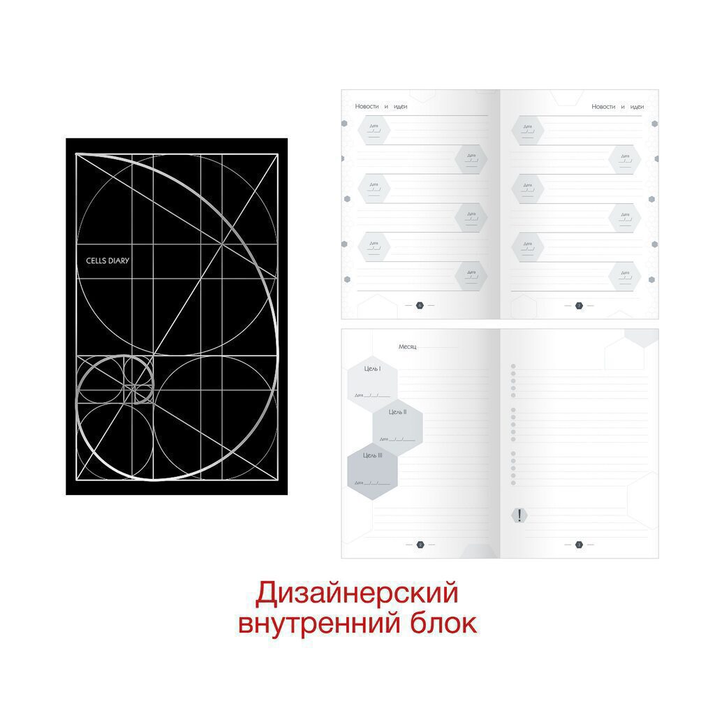 Ежедневник недат. А5  7БЦ "CellsDiary. Дизайн 2" 272 стр., soft-touch, тисн.фольгой