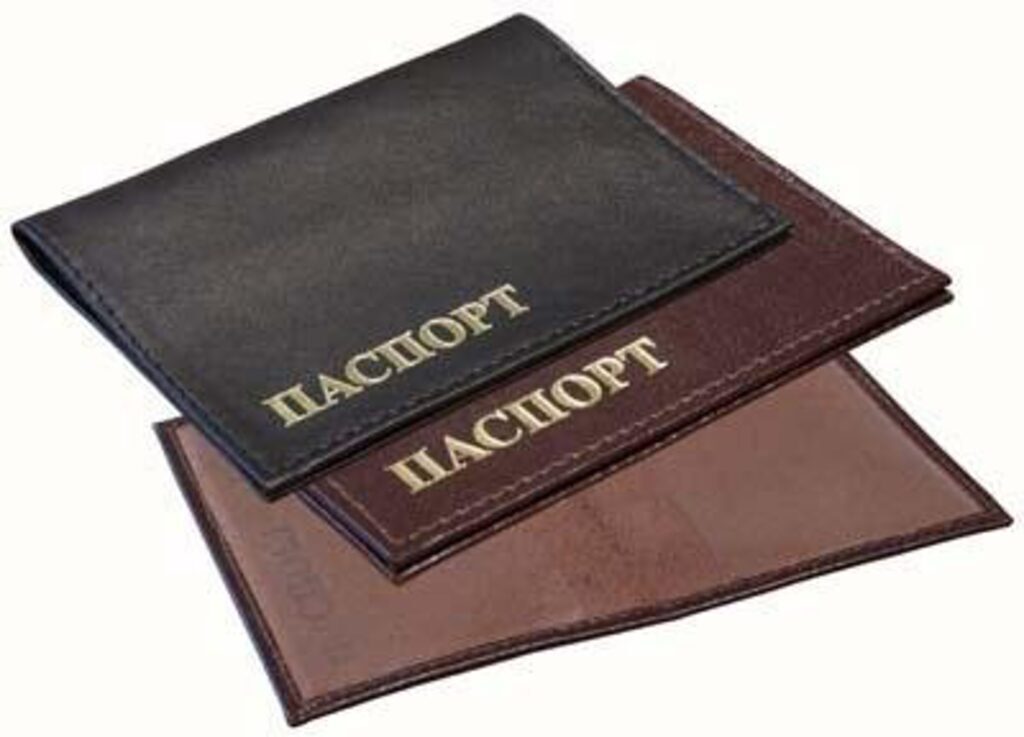 Обложка для паспорта из нат.кожи с карм.из пласт. чёрная