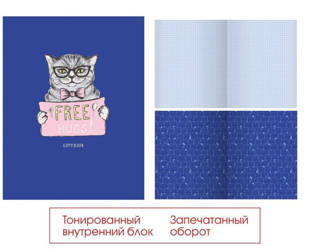 Тетрадь А5 48л  кл.,    !ТОН.БЛОК! "BLUE. Дизайн 3", тонированный блок, мат.лам., запеч.оборот