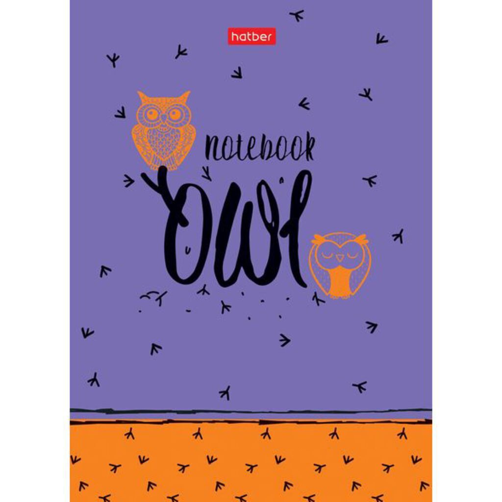Блокнот А6 7БЦ 160л "Night owl" кл.