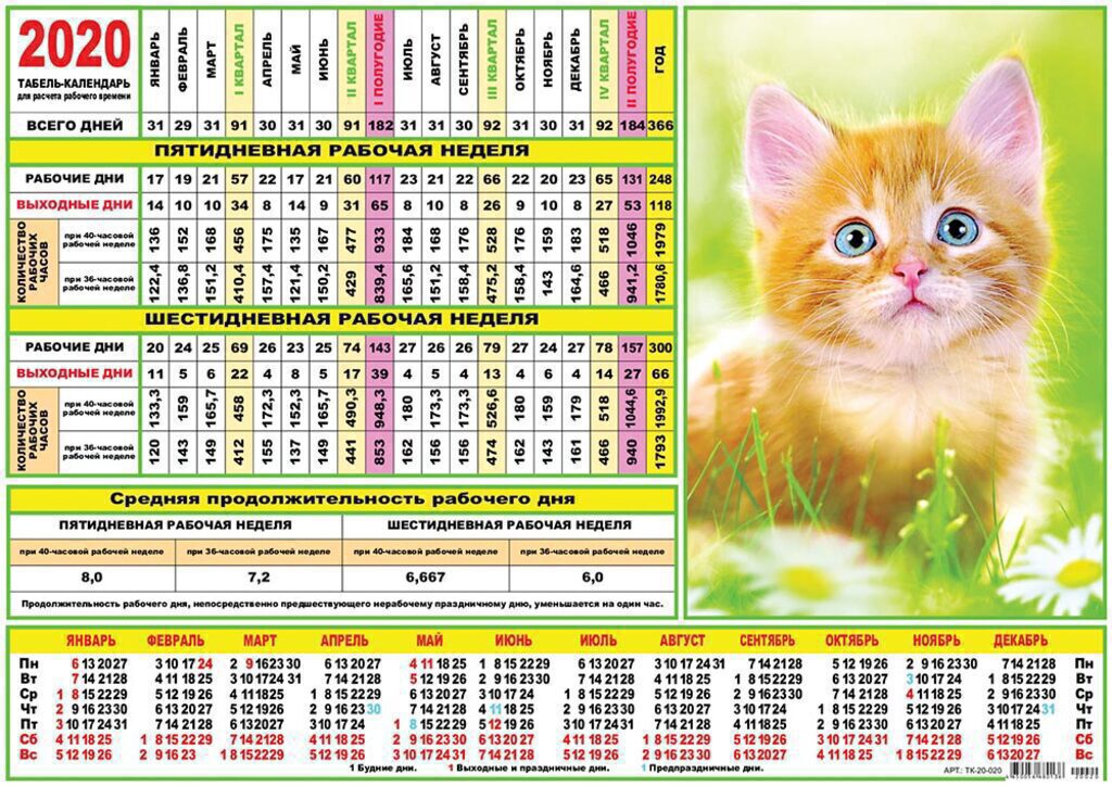 Календарь-ТАБЕЛЬ на 2020г., А4, Кошки
