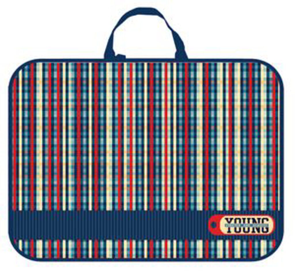 Папка А3 для менеджера широкая, ручка тканевая,  Клетка YOUNG