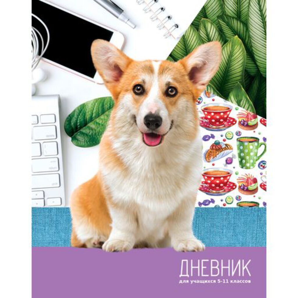 Дневник старш кл. обл. 7БЦ      "Любимый корги" глянц.лам., 48 л