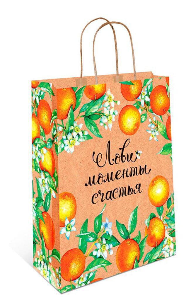 Пакет подар. бумажн. 18*12*10 см Лови момент счастья КРАФТ