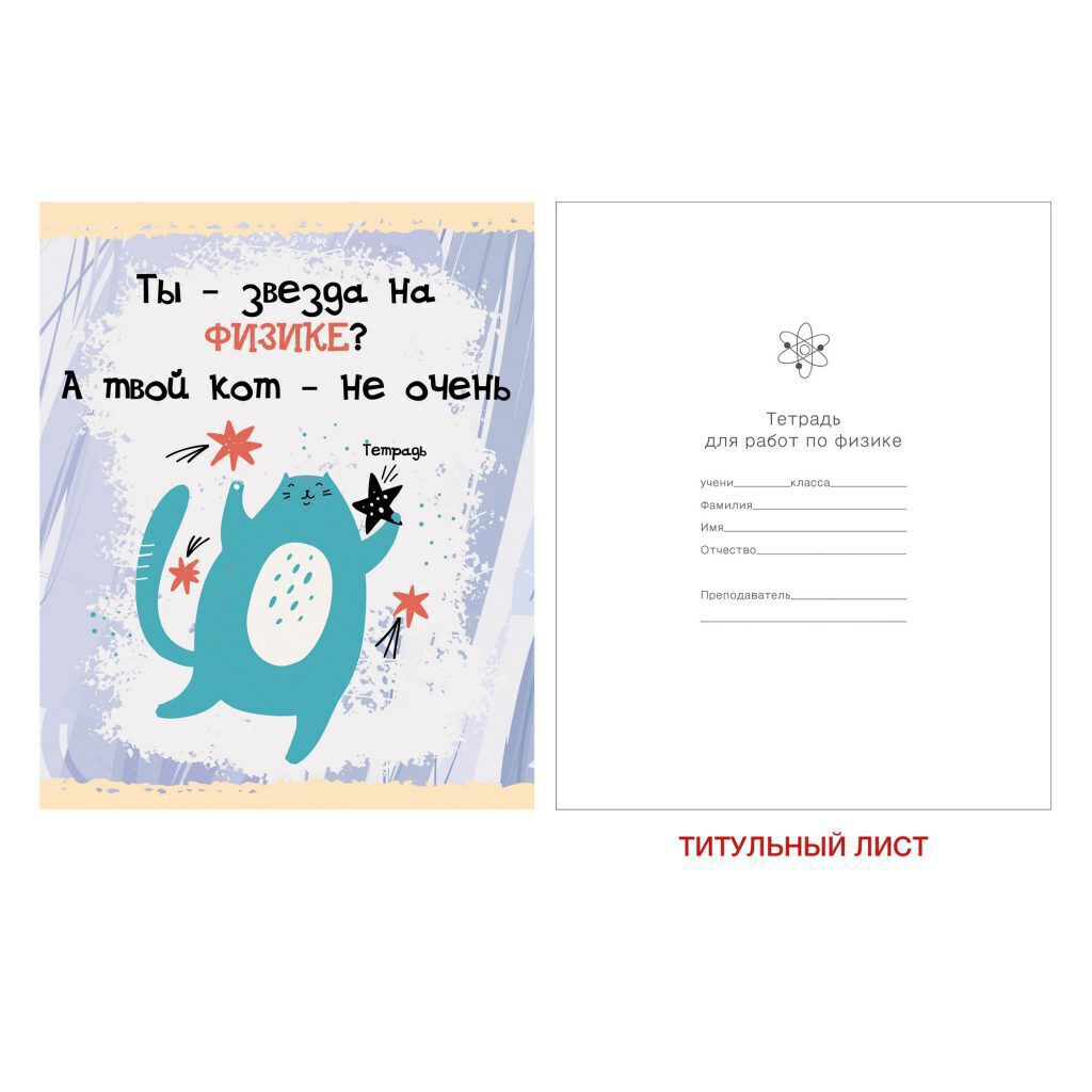 Тетрадь предметная А5 Физика, "Тетрадь кота" 48л, глянц.лам., кл.