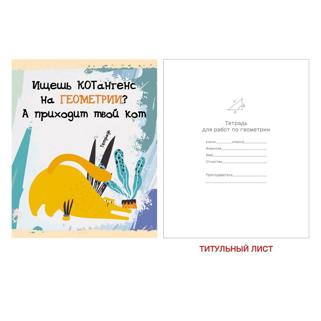 Тетрадь предметная А5 Геометрия, "Тетрадь кота" 48л, глянц.лам., кл.