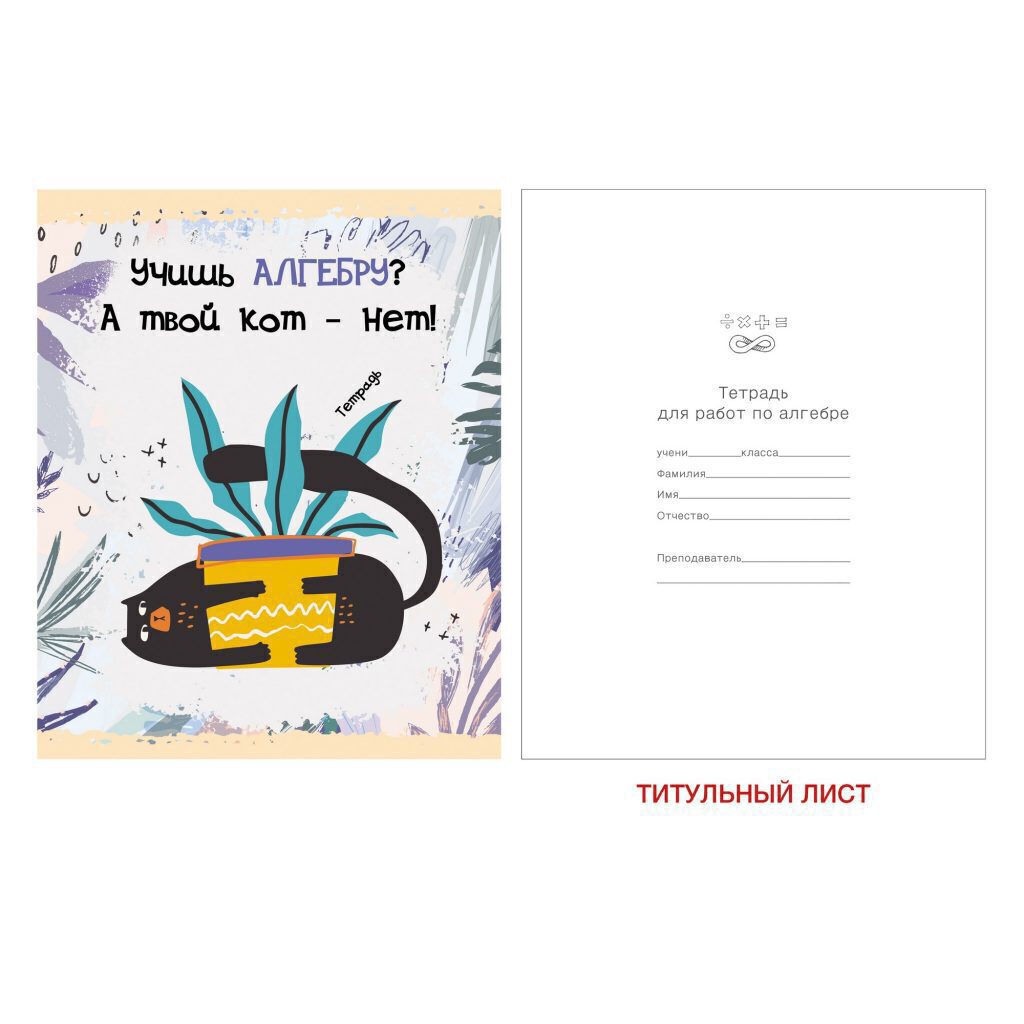 Тетрадь предметная А5 Алгебра, "Тетрадь кота" 48л, глянц.лам., кл.