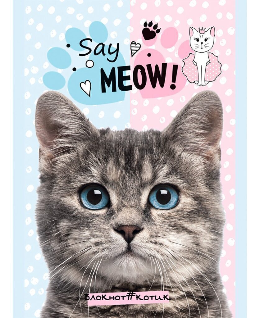 Блокнот А6  32л "Голубоглазые котята" скрепка