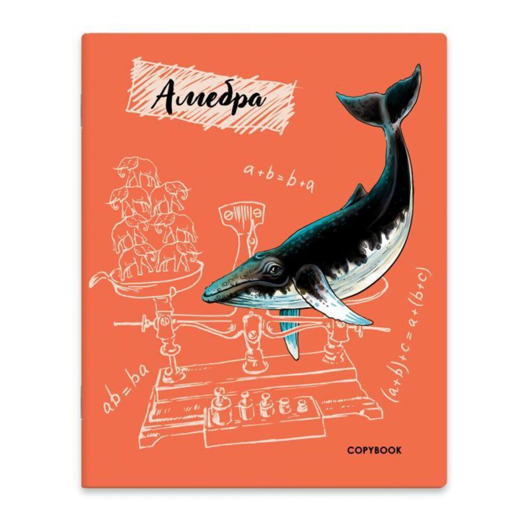 Тетрадь предметная А5 Алгебра, "Суперскул" 48л, выб.твин УФ-лак., кл.