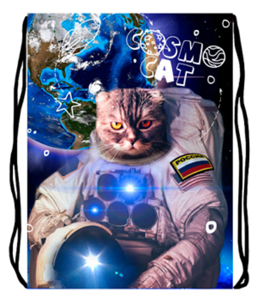 Мешок для обуви 1 отд, 330*420 "Cosmo cat"