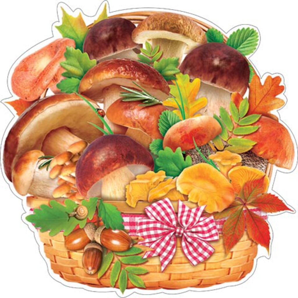 Открытка на липучке "Корозина грибов", 25*25см