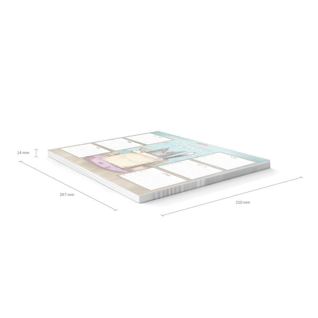 Расписание уроков ErichKrause Cat & Box, А4