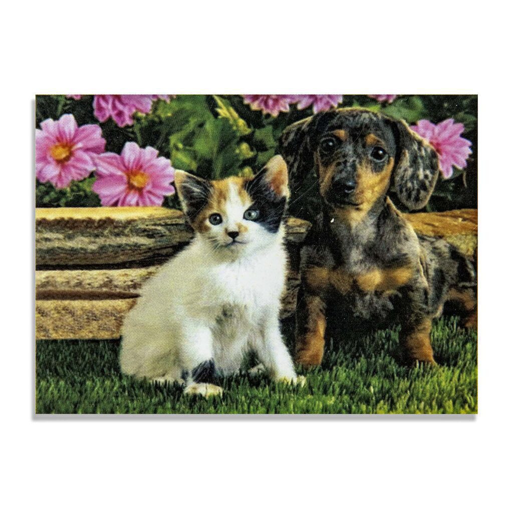 Мозаика алмазная по номерам 20*30см "Два друга" на подрамнике