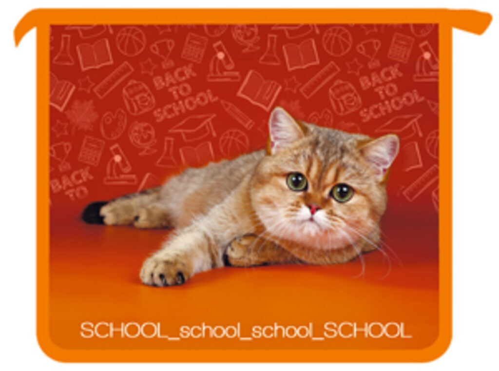 Папка д/тетрад. А5 1отд. на молнии сверху. School cat, ламинат