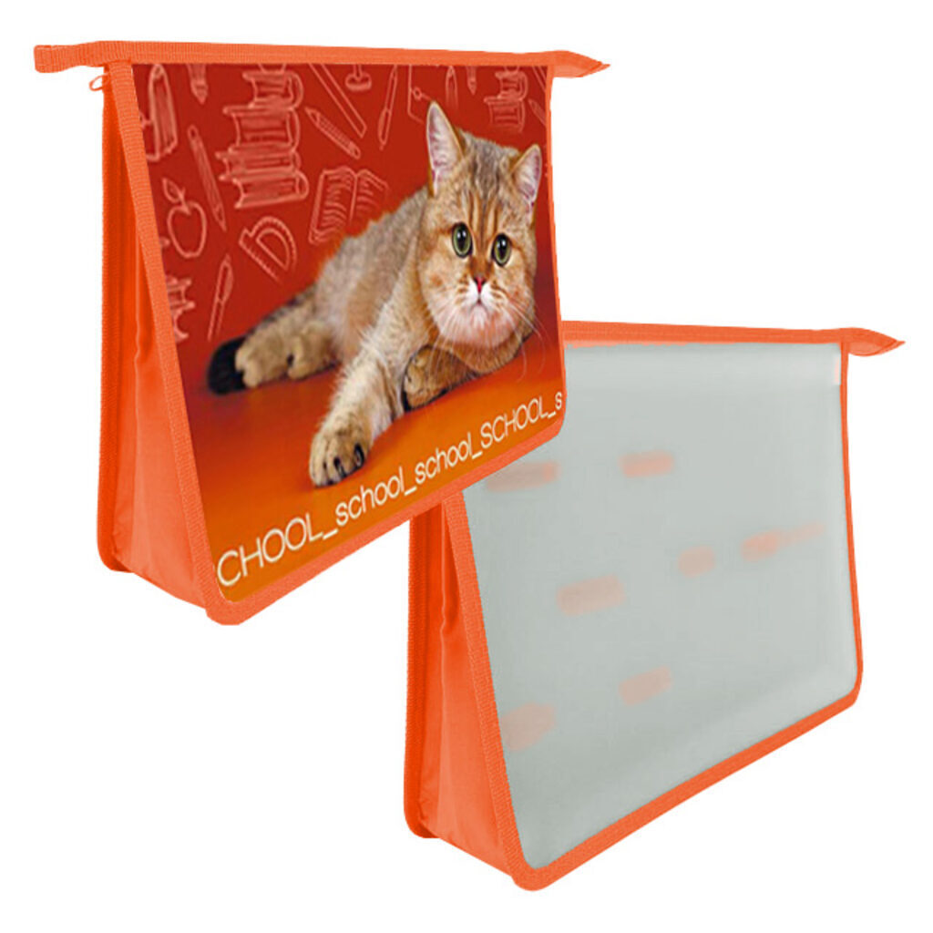 Папка для труда А4 2 отд. молн. сверху,   School cat, ламинат, пластик