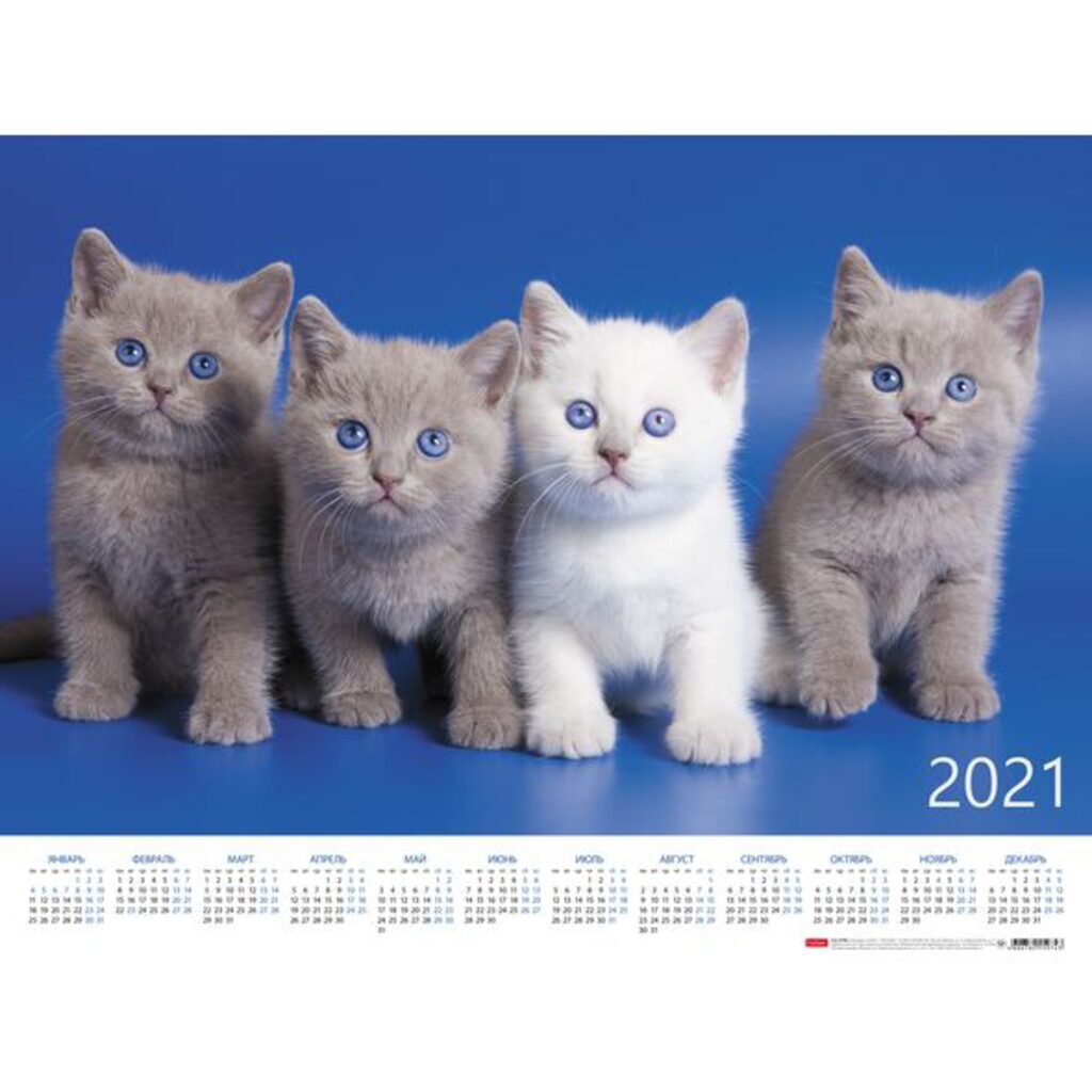 Календарь ЛИСТОВОЙ 450*600мм, А2 Пушистые любимцы, на 2021 год
