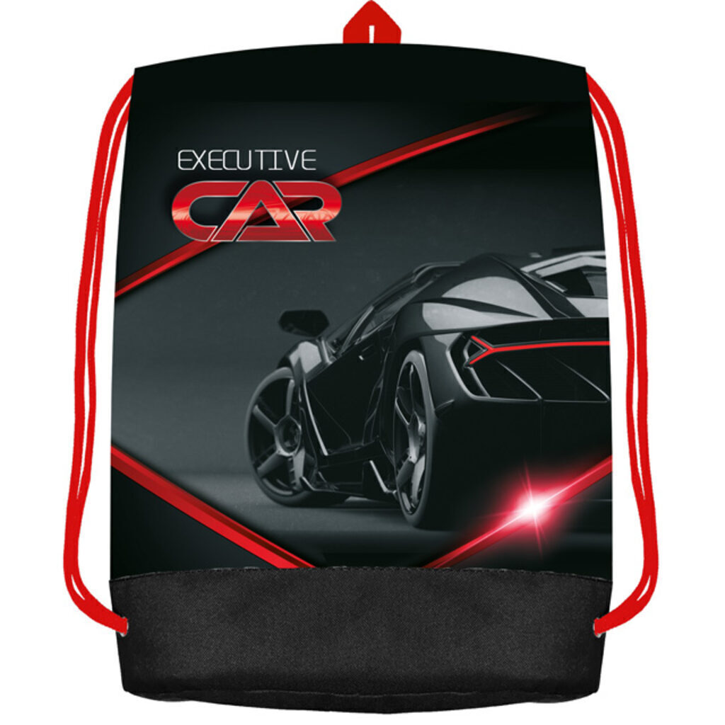 Мешок для обуви 1 отд, 540*410 Black car, с карманом