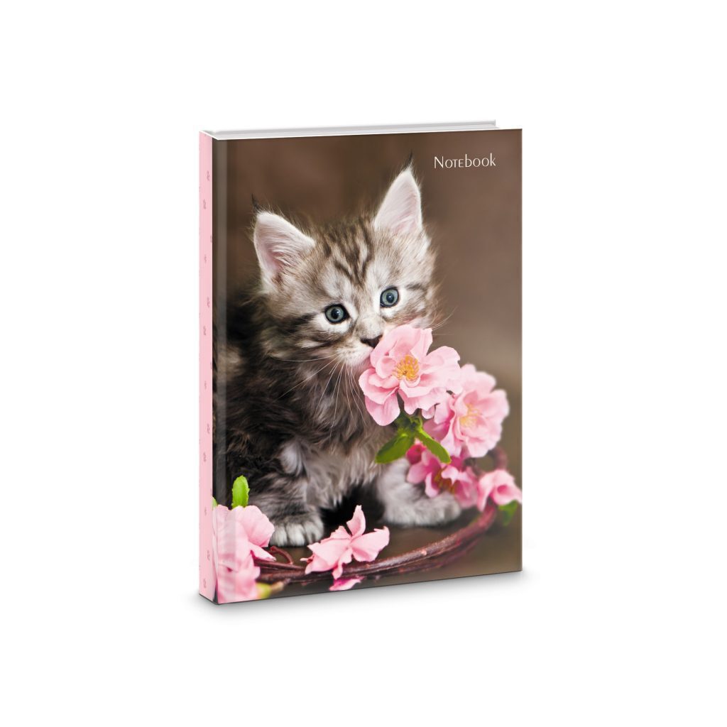 Блокнот А6 7БЦ  64л "Котенок" мат.лам., выб.лак., блёстки, кл.