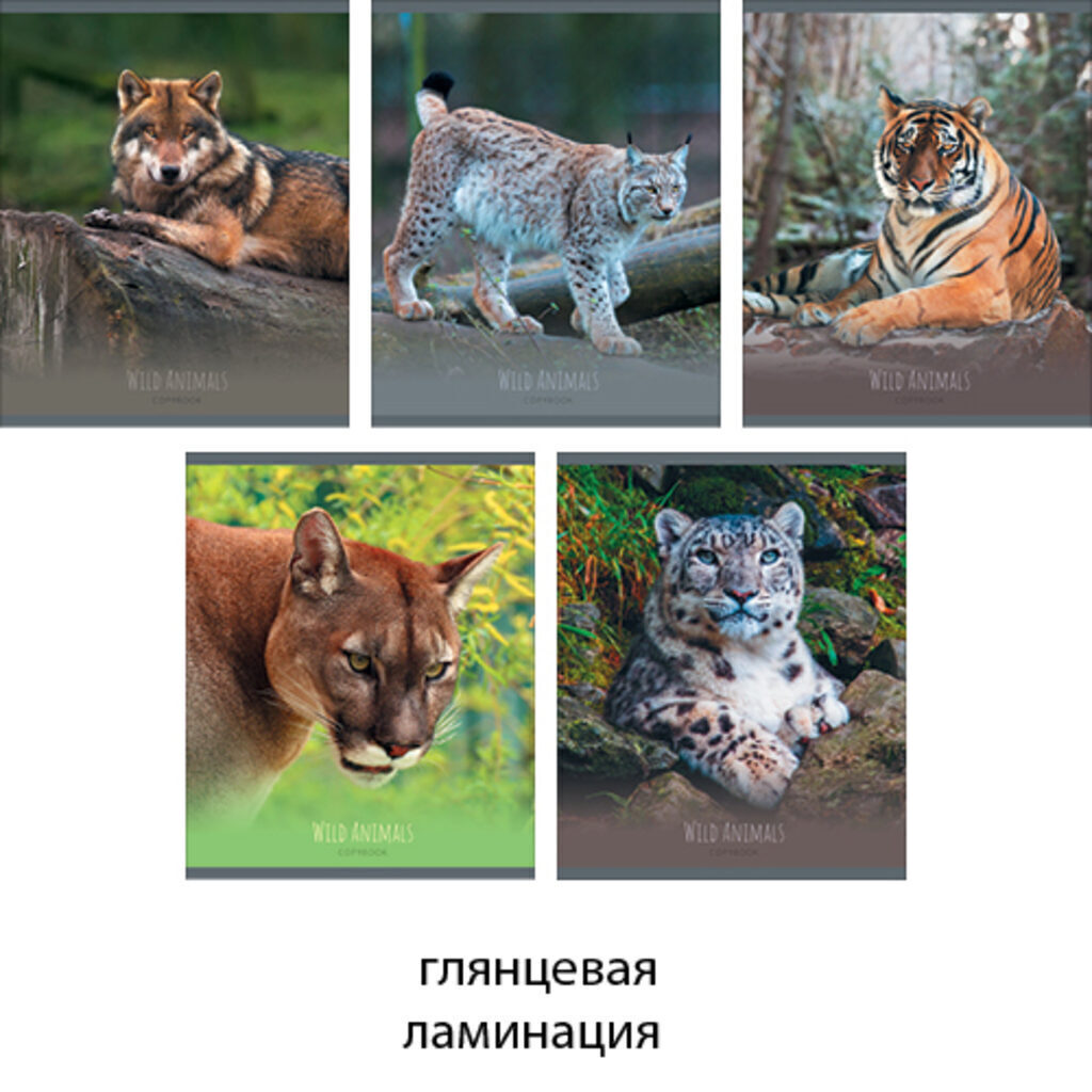 Тетрадь А5 48л  кл.,    "Грациозные хищники"