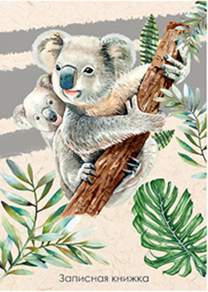 Блокнот А5 7БЦ  80л "Зарисовка коалы" клетка, глянц.лам.