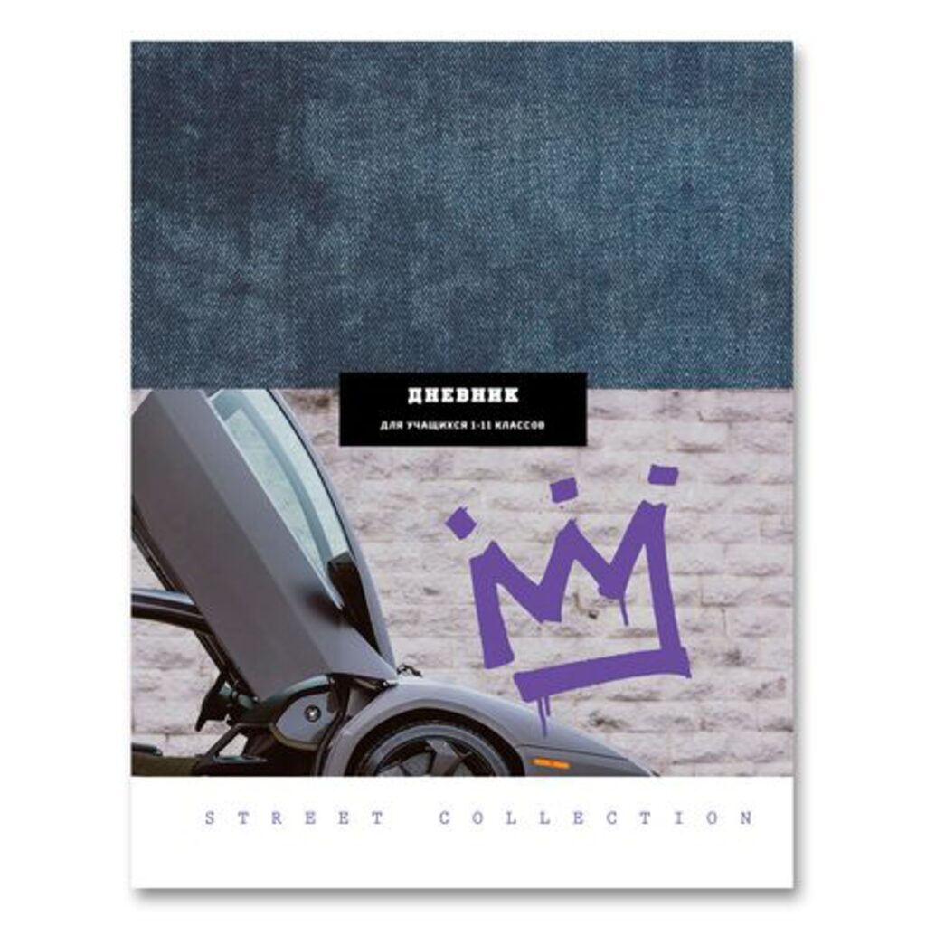 Дневник универсальн. обл. 7БЦ   "Street collection"   глянц.лам., 48 л