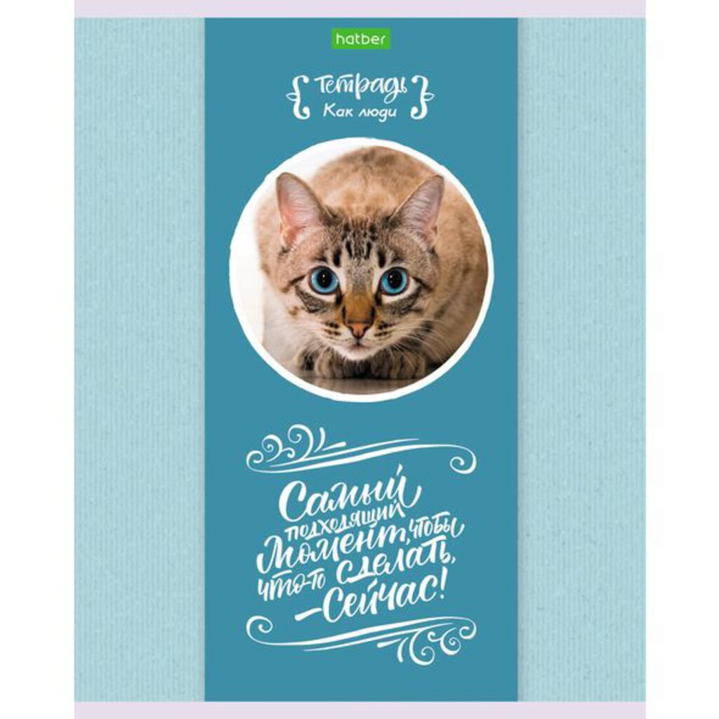 Тетрадь А5 40л кл. Hatber "Звери как люди" белизна 92%