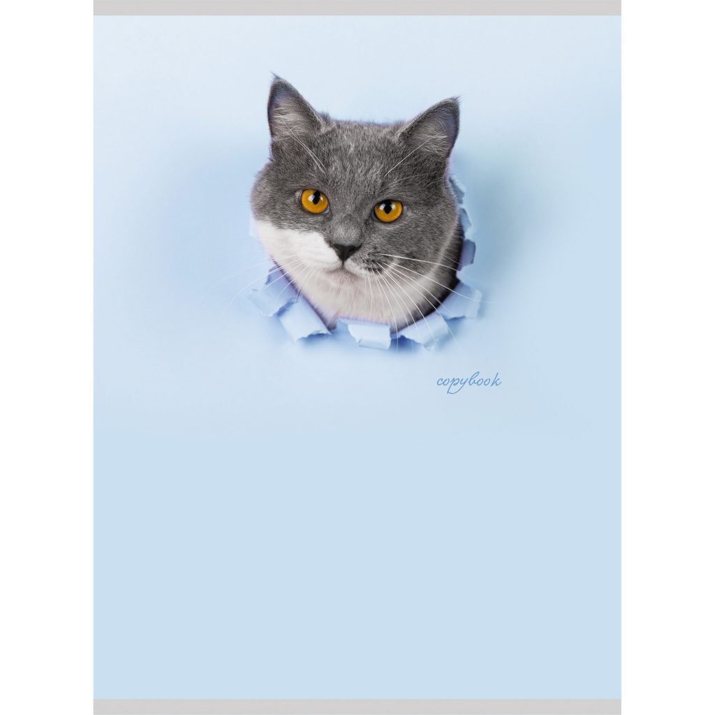 Тетрадь А4  60л кл. скоба Канц-Эксмо "Пушистый хитрец" глянц.лам