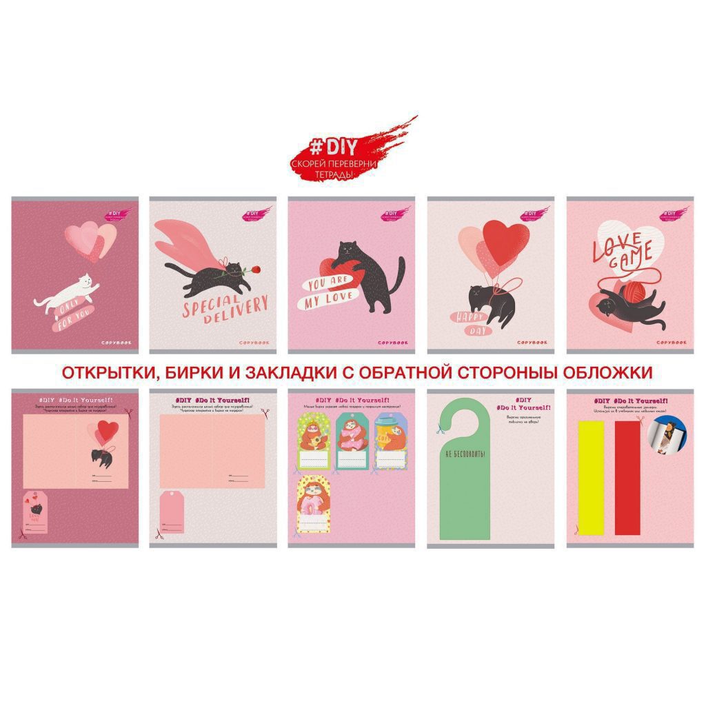 Тетрадь А5  96л кл. Канц-Эксмо "DIY Collection. Игривый кот", твин.лак.