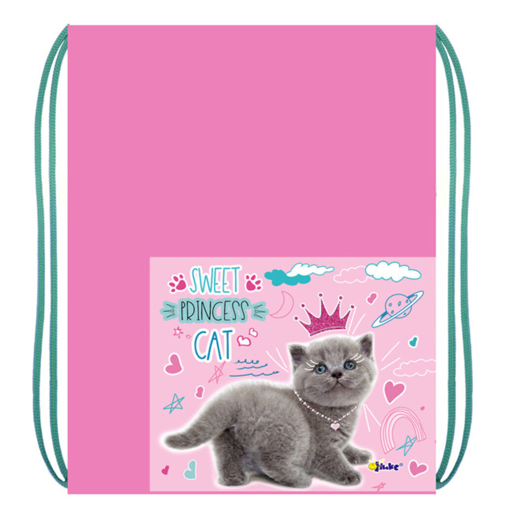 Мешок для обуви 2 отд, 330*420, карман "Cat princess"