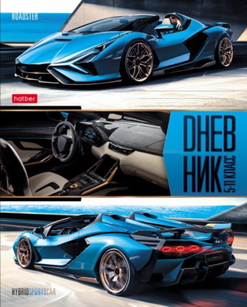 Дневник старш кл. обл. картон     "Sport Style" 48л.