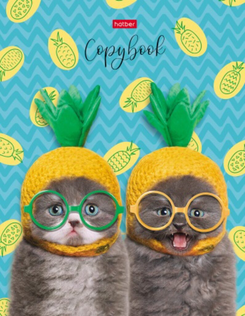 Тетрадь А5 160л кл. на кольцах Hatber "Коты-ананасики" мат.лам., белизна 98%*