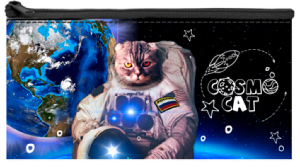 Пенал-кошелек (195*105)  Cosmo cat, ткань