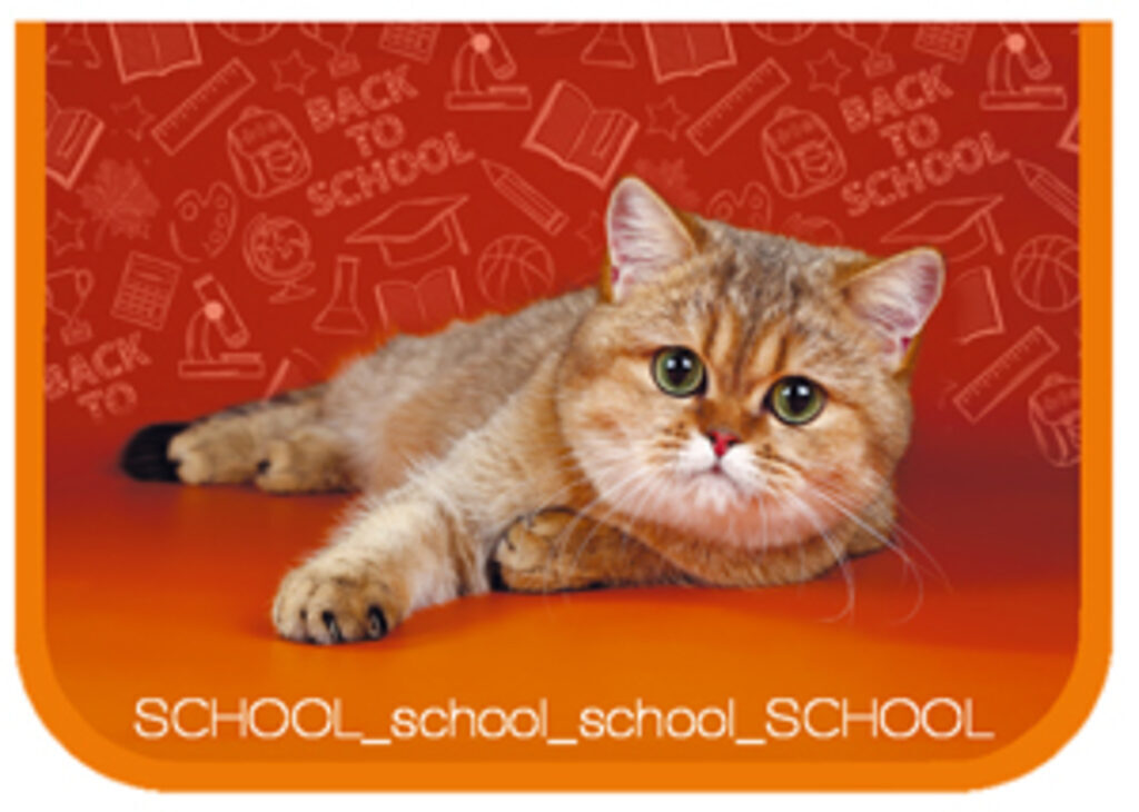 Пенал 1 отд. (190*130*27) молния, лам.картон "School cat"